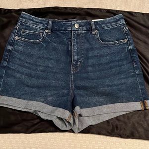 American Eagle Curvy Mom Short